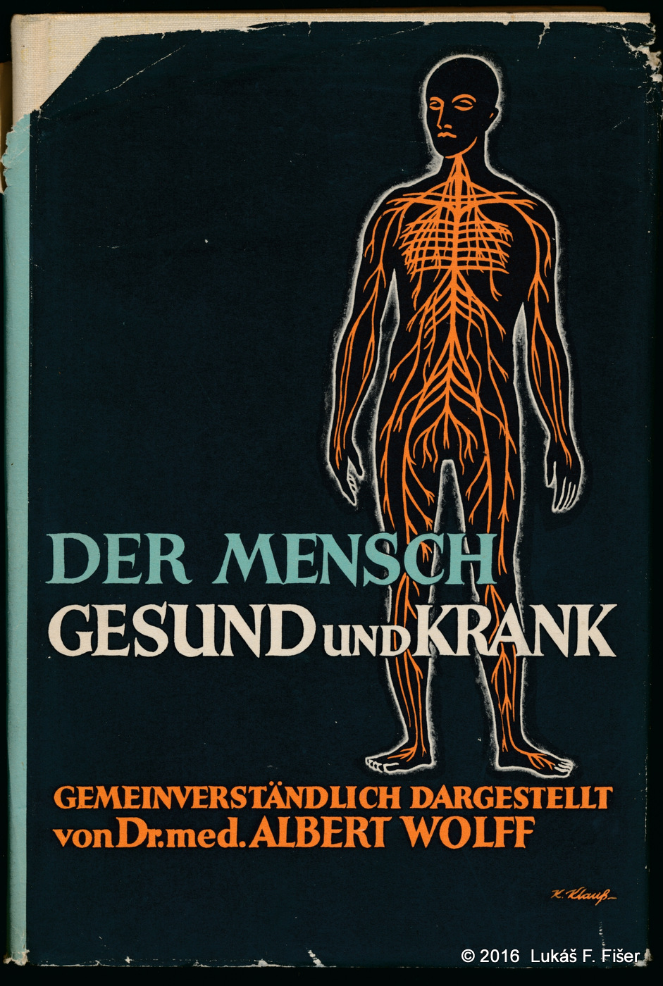 Der Mensch gesund und krank, Dr. med. Albert Wolff, 1938